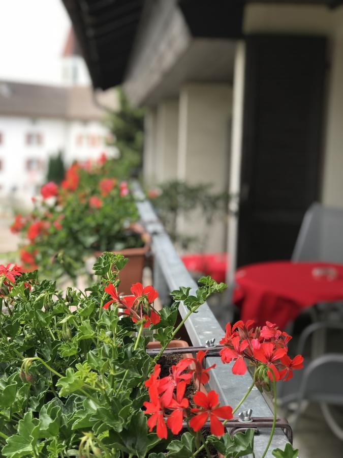 Bed And Breakfast Krone Schellenberg Exterior foto